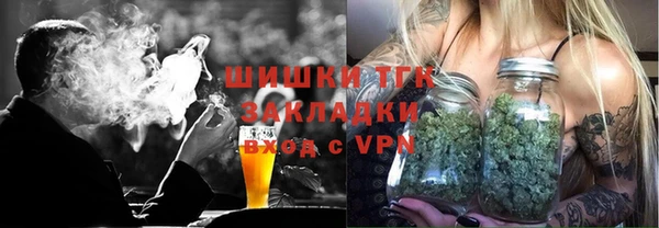молекула духа Алексин