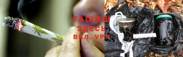 шишки Алзамай