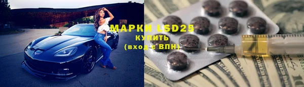 шишки Алзамай