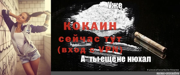 молекула духа Алексин