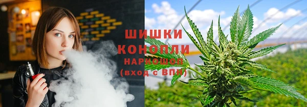 МДПВ Алексеевка