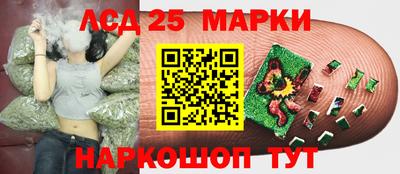 спиды Каменск-Шахтинский
