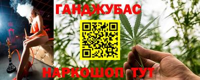 амф Камень-на-Оби