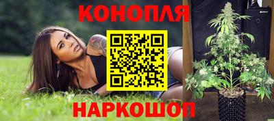 амф Камень-на-Оби
