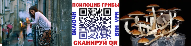Псилоцибиновые грибы Magic Shrooms  наркотики  Череповец 