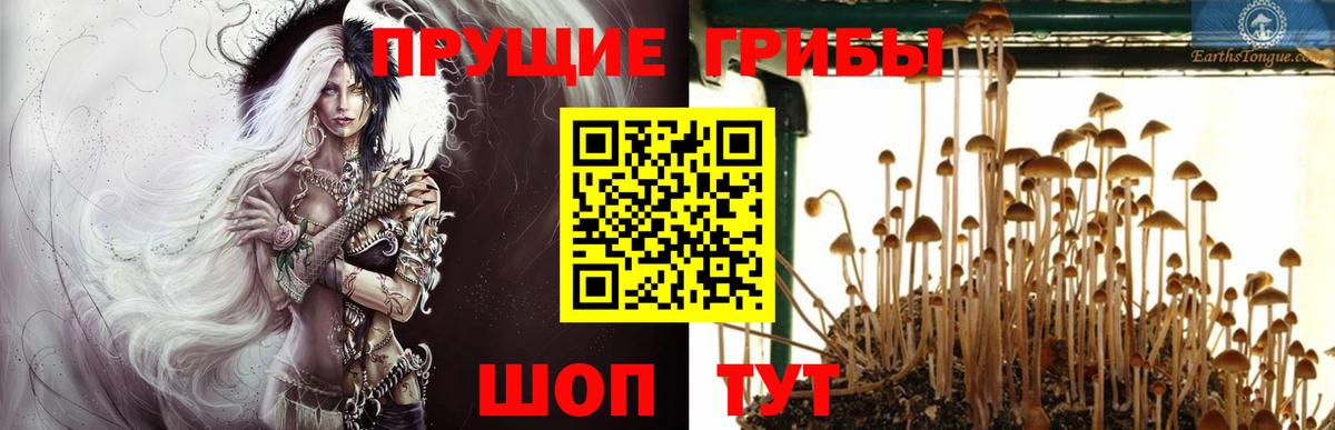 Псилоцибиновые грибы мицелий  Вход с VPN  Череповец 